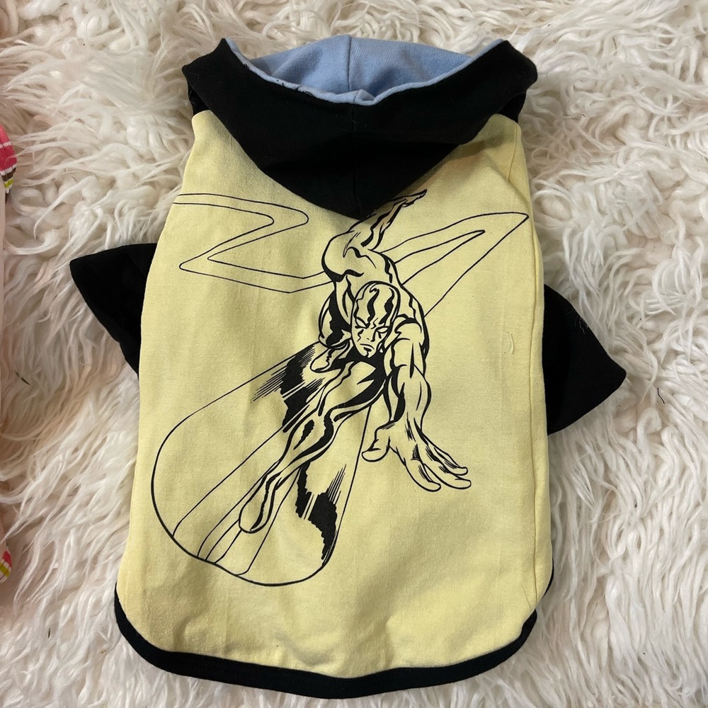 Hoodie Superhero Silver Surfer